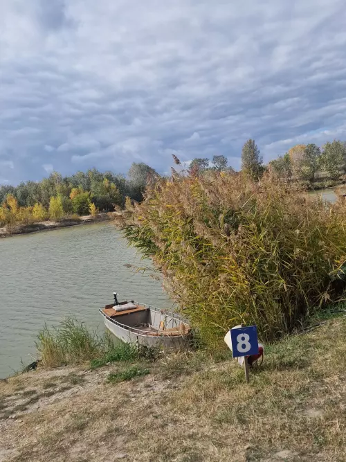 Fish World - Galéria kép