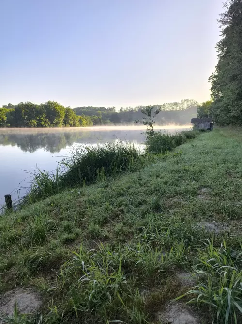 Tüttös pusztai horgásztó - Galéria kép