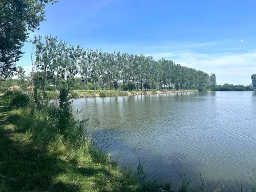 Csepel-tó - Galéria kép