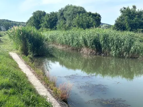 Szerencs-patak - Galéria kép