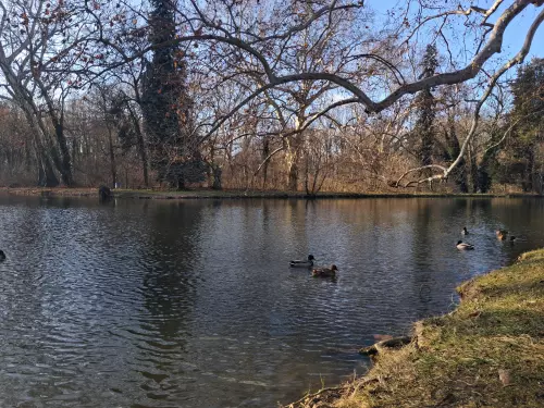 Gyermekvárosi-tó - Galéria kép