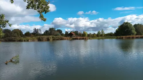 Kenyérgyári-holtág - Galéria kép