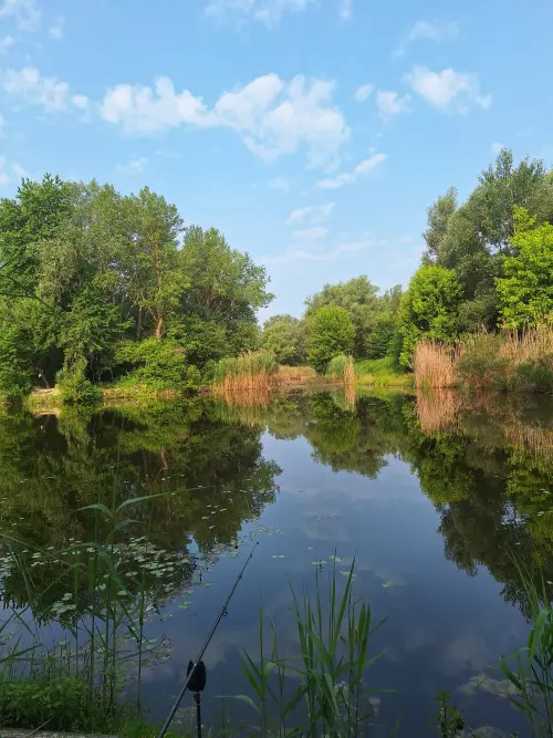 Horgászhely: Vincsága horgásztó