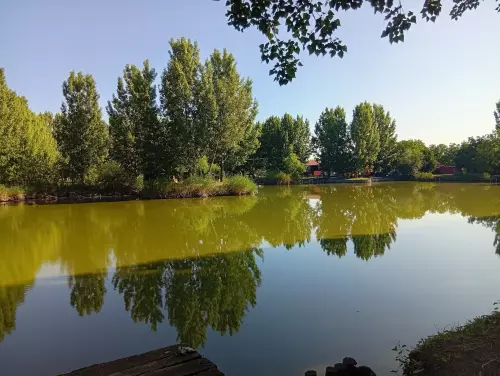 Besenyőtelki Horgásztó horgászhely képe – Besenyőtelek