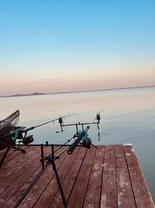 Horgászhely: Fishliget