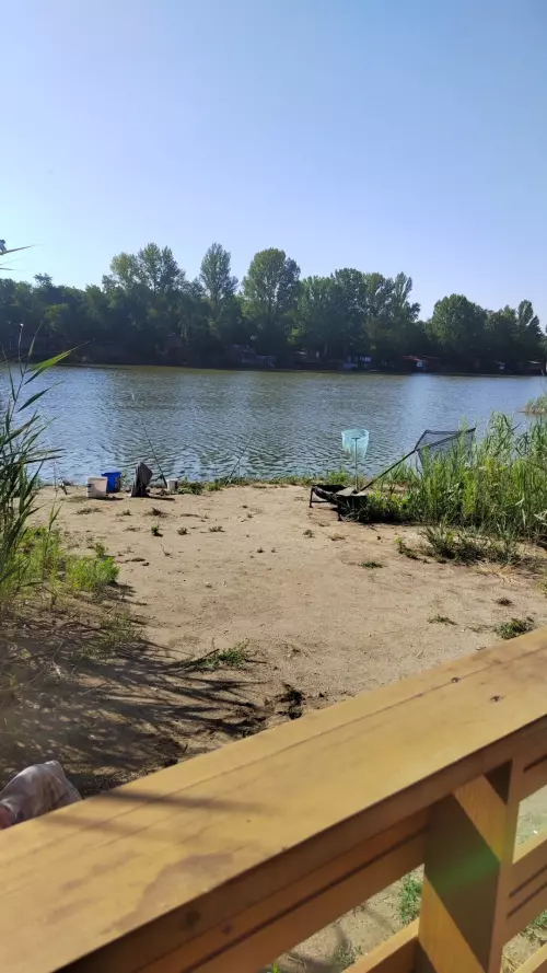 Fárasztó horgásztó - Galéria kép