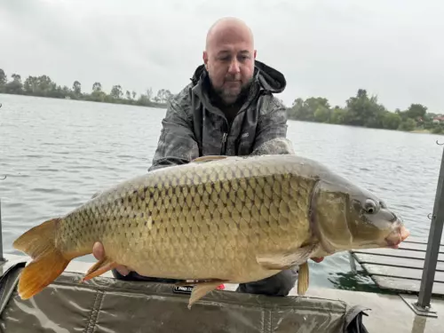 Carp & Carp Hejőkeresztúr - Galéria kép