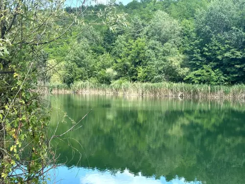 Ormosbányai bányató - Galéria kép