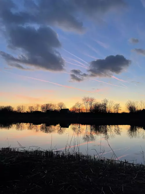 Tiszakécskei holtág - Galéria kép