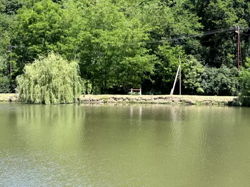 Felső tó - Galéria kép