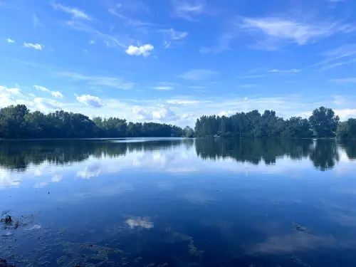 Erdészeti tó - Galéria kép