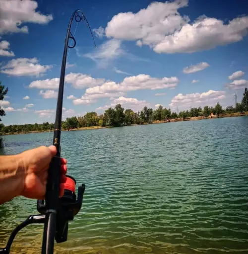 Horgászhely: Majos Carp Lake