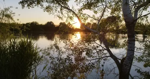 Haldorádó horgásztó - Galéria kép