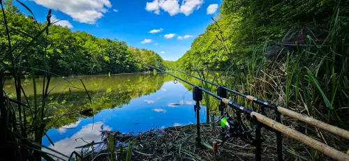 Vadása-tó - Galéria kép