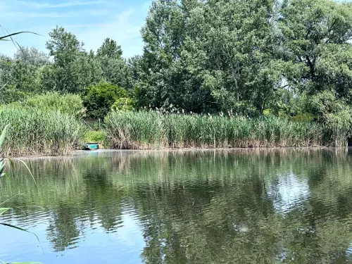 Tiszaladányi Holt-Tisza - Galéria kép