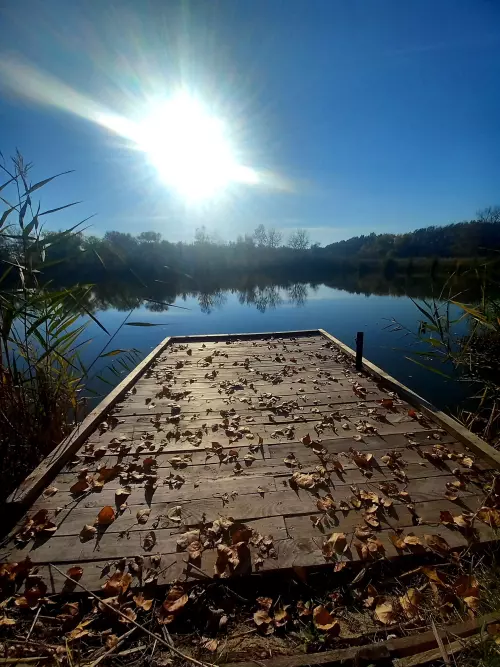 Füzesgyarmati téglagyári tavak - Galéria kép