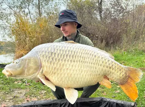 Ököritófülpös horgásztó - Galéria kép