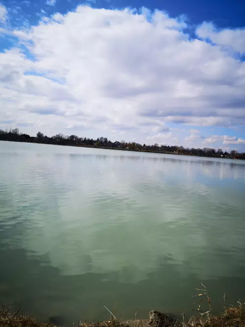 Füzes-tó - Galéria kép