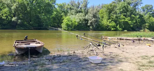 Solti Kisduna - Galéria kép