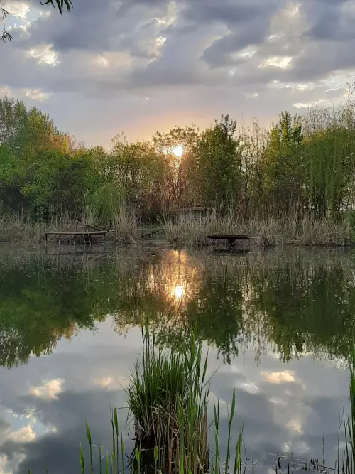 Danzug-holtág - Galéria kép