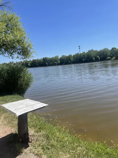 Dunakeszi Horgásztó - Galéria kép