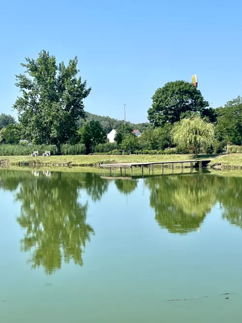 Bujtosi-tó - Galéria kép