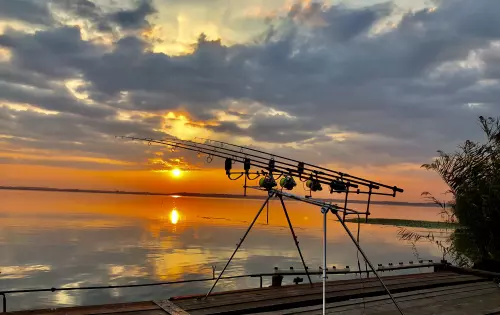 Horgászhely: Erzsébet-liget