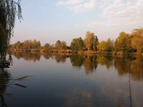 Horgászhely: Húskombinát Horgász Egyesület Horgásztava