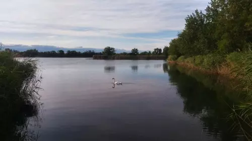 Tagi bányató - Galéria kép