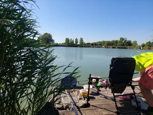 Horgászhely: Borsosgyőri-tó