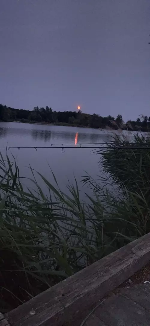 Ölbői horgásztó - Galéria kép