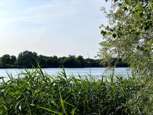 Csorba-tó - Galéria kép