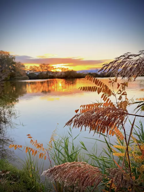 Sziksós-tó - Galéria kép