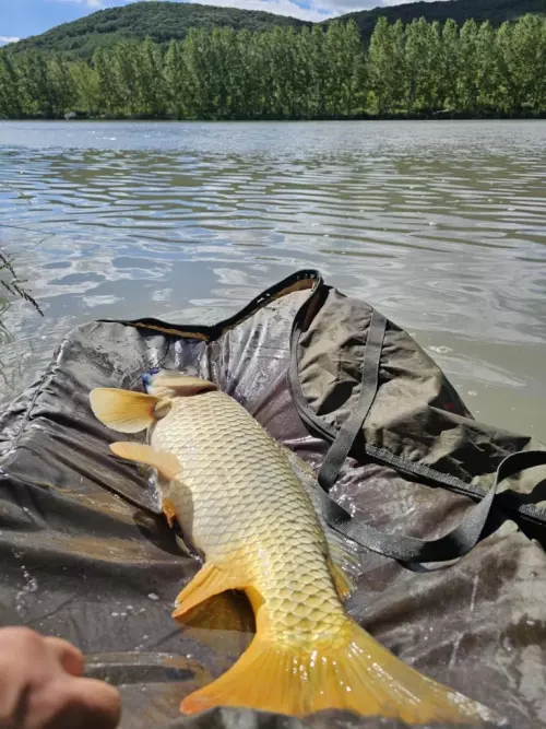 Never Zero Sporthorgásztó - Galéria kép