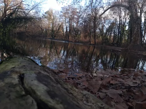 Gyermekvárosi-tó - Galéria kép