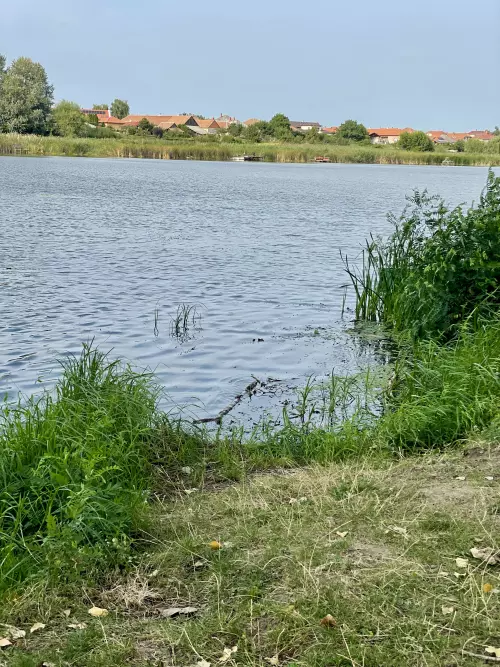 Nagy‑Morotva holtág - Galéria kép