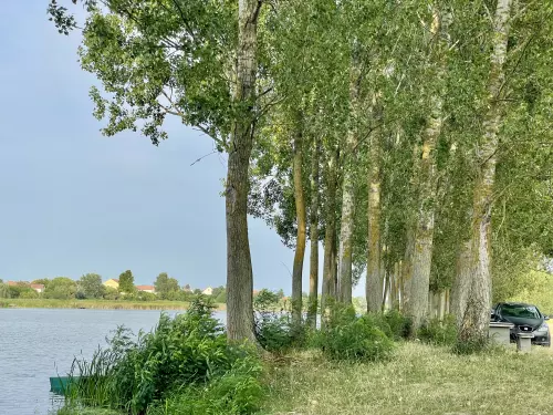 Nagy‑Morotva holtág - Galéria kép