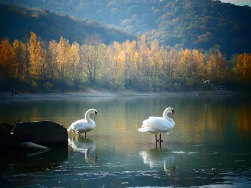 Horgászhely: Visegrádi öböl