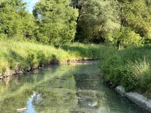 Bán patak - Galéria kép