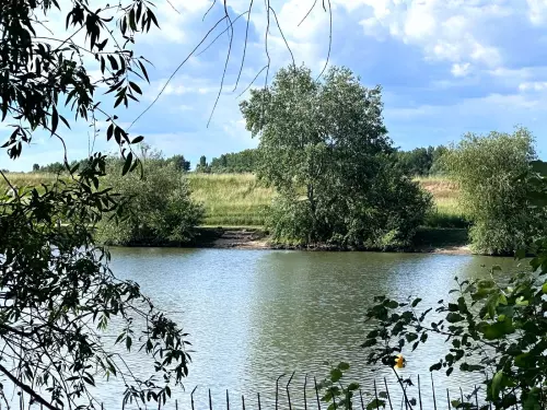 Családi Horgásztó (Nagycsécs Belsőségi tó) - Galéria kép