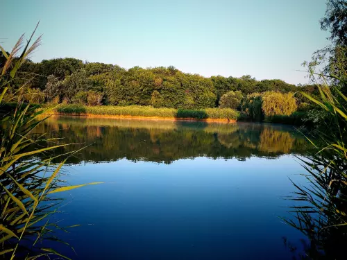 Horgászhely: Bujtás-tó