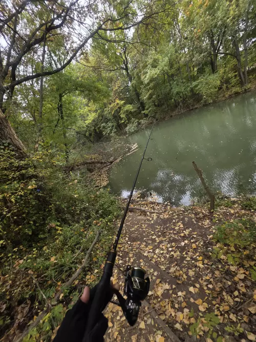 Dömsödi Árapasztó - Galéria kép