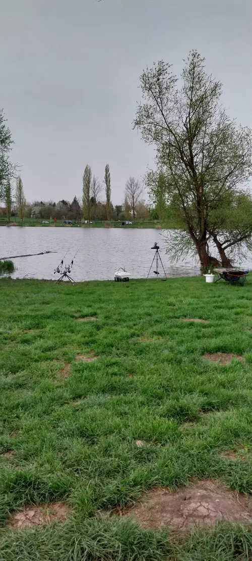 Horgászhely: Dányi horgásztó