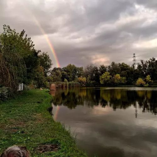 Kék tó horgászhely képe – Baja