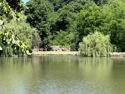 Felső tó - Galéria kép