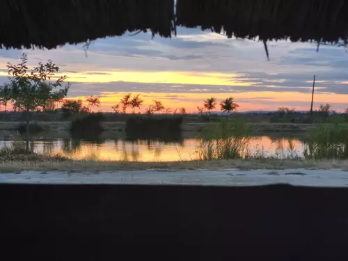 Horgászhely: Moby Dick Horgásztó