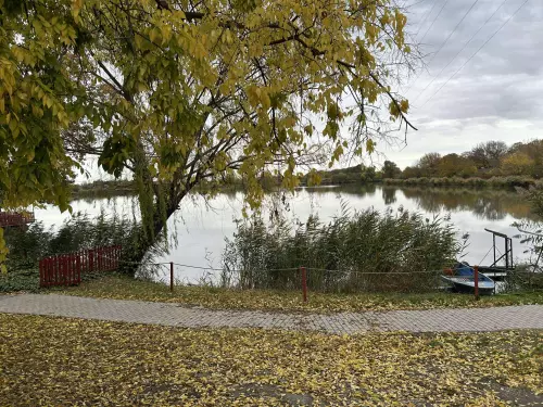 Lencsés Horgásztó - Galéria kép