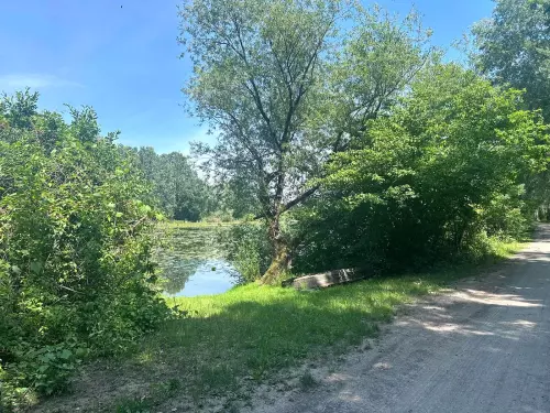 Berek holtág - Galéria kép