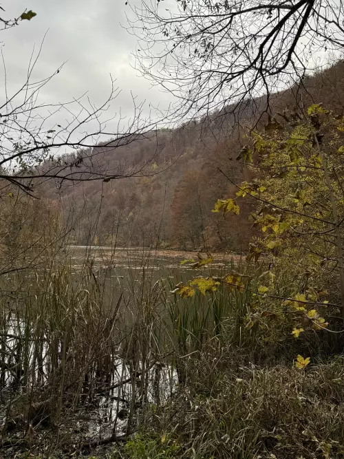 Hámori-tó - Galéria kép