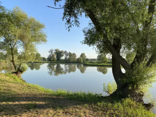 Horgászhely: Ceglédberceli Tőzeg tavak